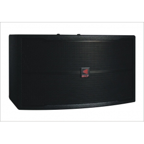 Professional 10inch Karaoke Speaker(SF036)