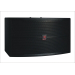 Professional 10inch Karaoke Speaker(SF036)